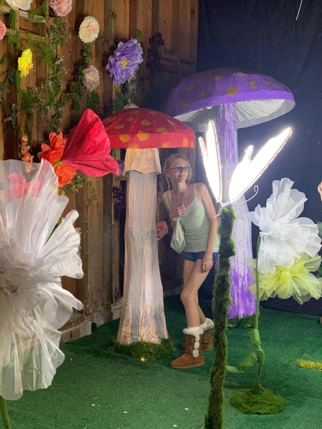 Enchanted Grove